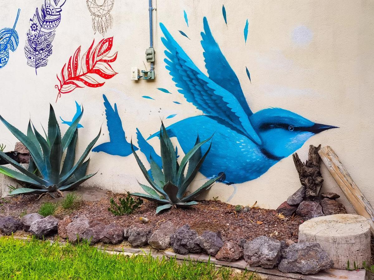 Hostal Casa Los Abuelos Cuatrociénegas de Carranza Buitenkant foto
